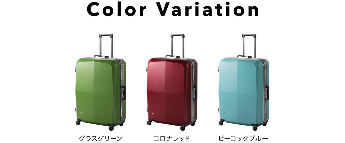 カラーバリエーション
