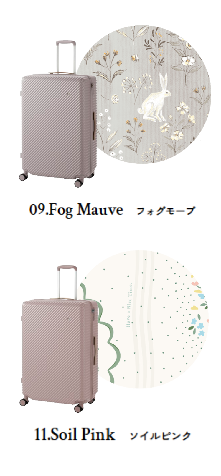 カラーバリエーション