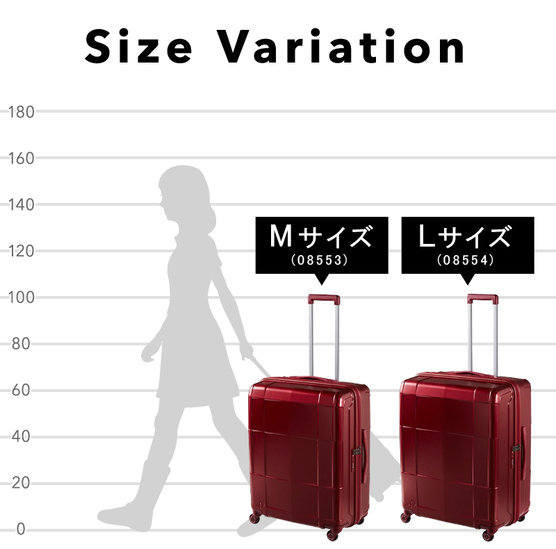 サイズバリエーション