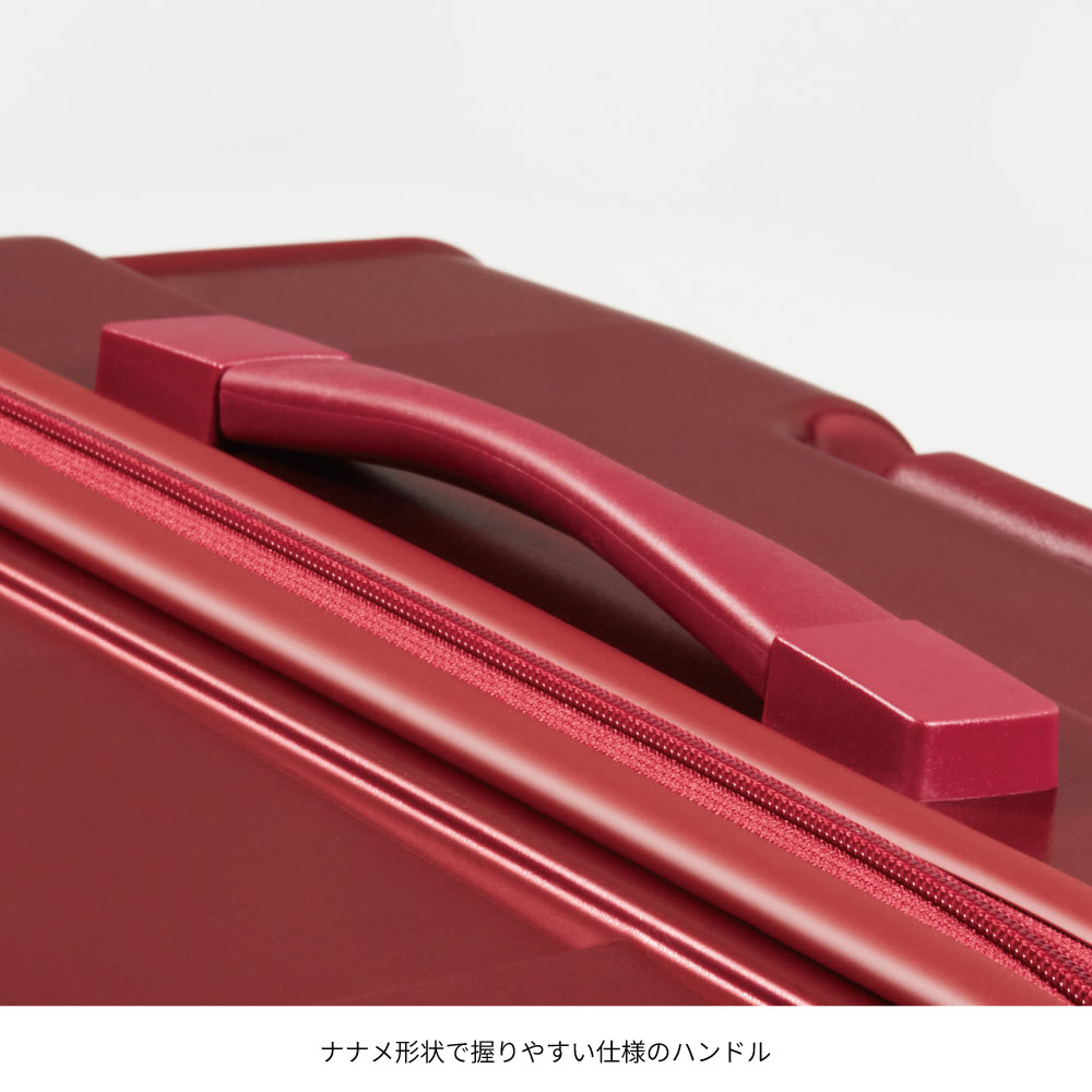 プロテカ スタリアCXR-R Lサイズ 10日間 0855410