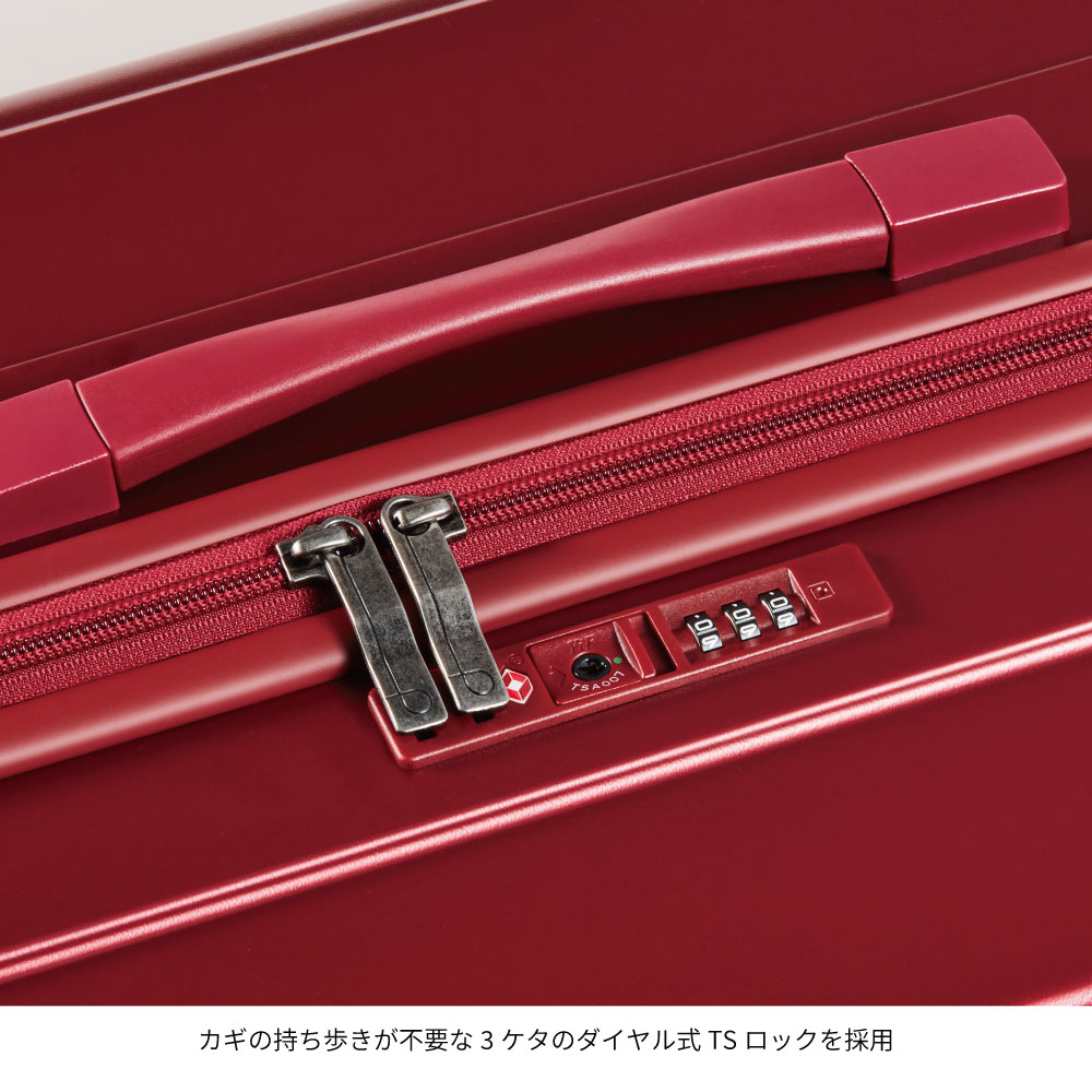 プロテカ スタリアCXR-R Lサイズ 10日間 0855410