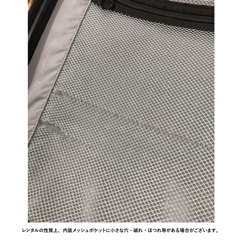 プロテカ ポケットライナー2 Lサイズ 40日間 0134440