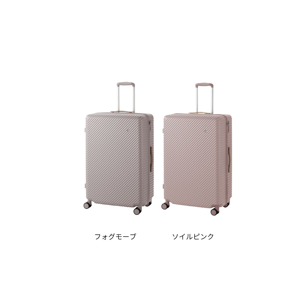 ハント ココント Lサイズ 40日間 0551640