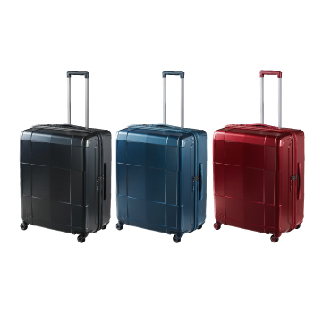 プロテカ スタリアCXR-R Lサイズ 40日間 0855440